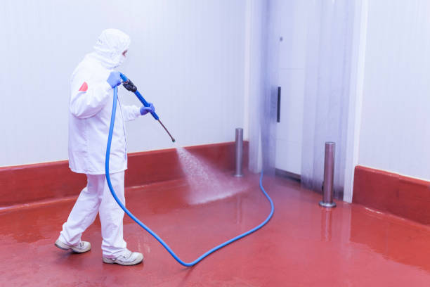Best Graffiti Removal  in Holgate, OH