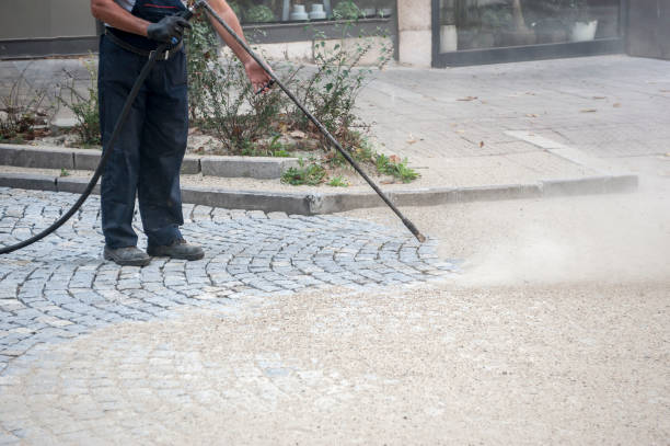 Best Animal Enclosure Cleaning  in Holgate, OH