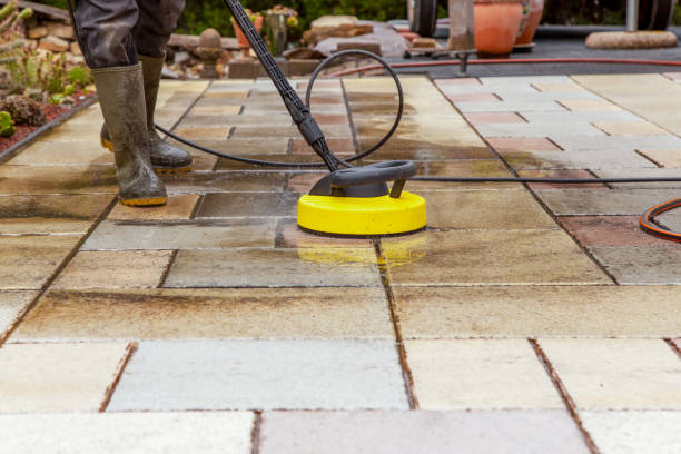 Best Pre-Holiday Cleaning  in Holgate, OH