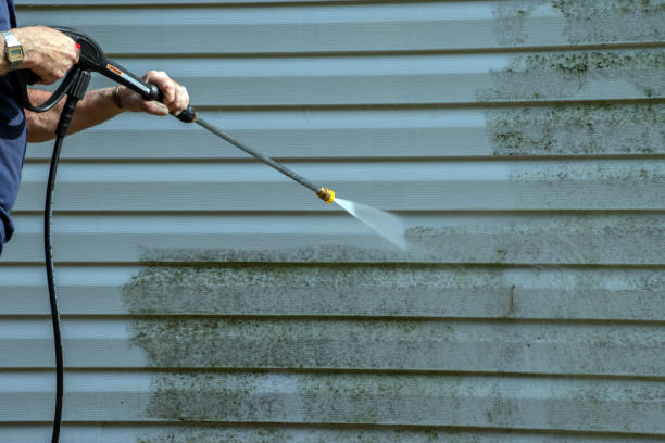 Best Warehouse Cleaning  in Holgate, OH