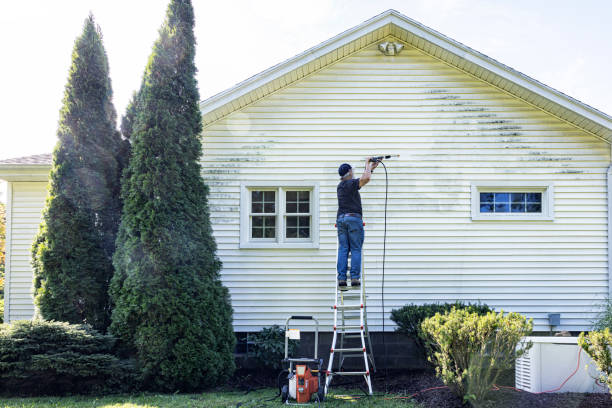 Best House Exterior Washing  in Holgate, OH